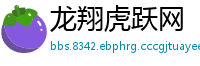 龙翔虎跃网